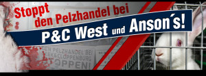 PC-Kampagne-Banner