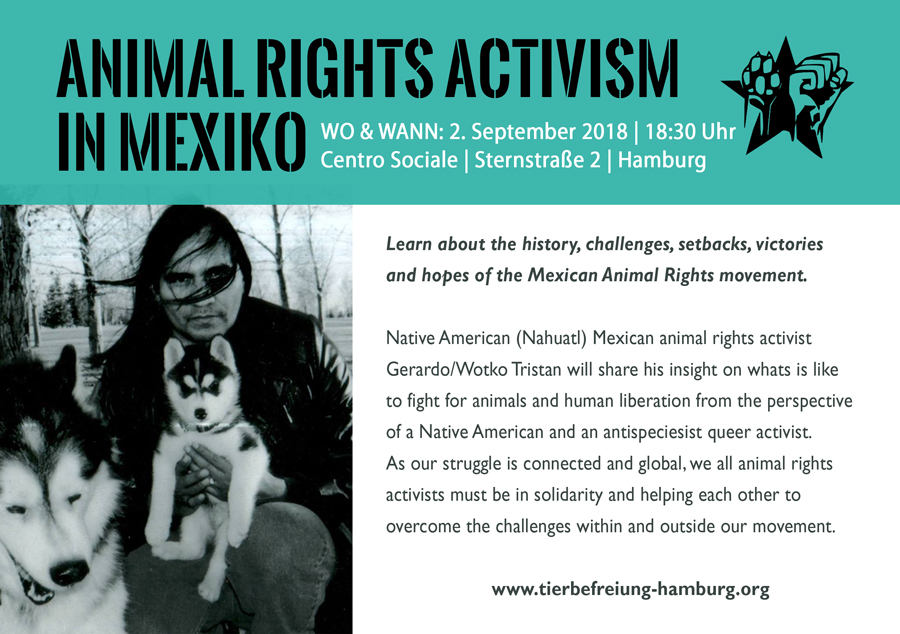 flyer-mex_web
