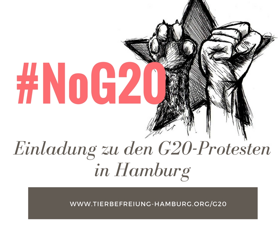 g20