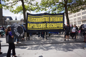Tierbefreiung goes Blockupy 3