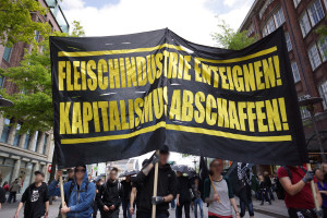 Tierbefreiung goes Blockupy 5