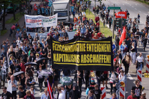 Tierbefreiung goes Blockupy 9