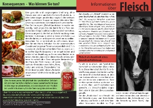 Fleisch-Flyer